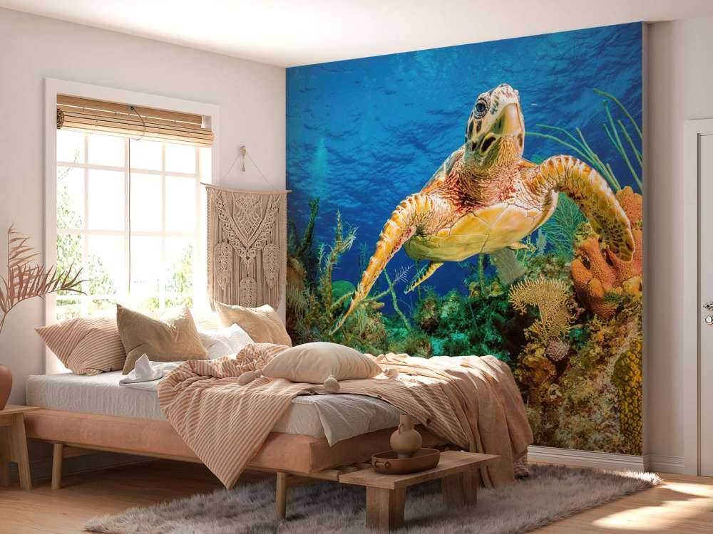 Hawksbill turtle swimming through Caribbean reef