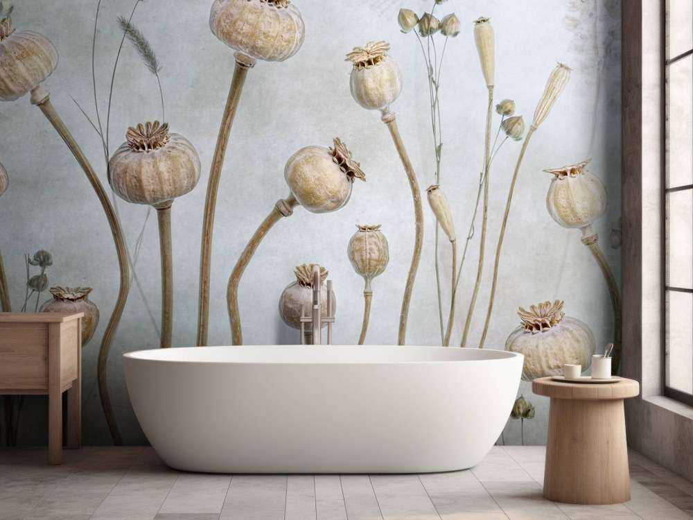 Papaver