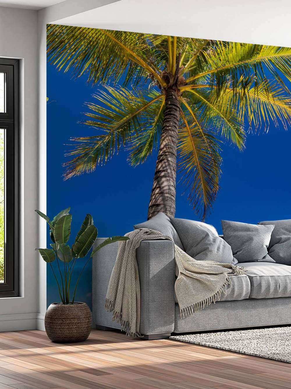 Palme på maldiverne