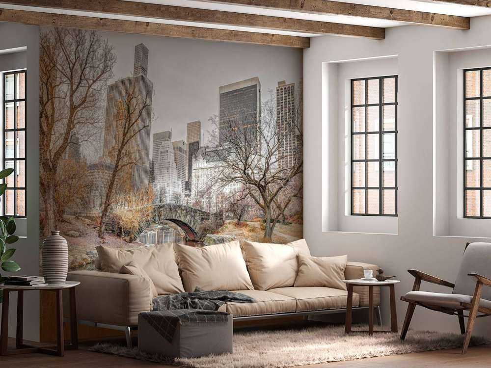 Central park om vinteren