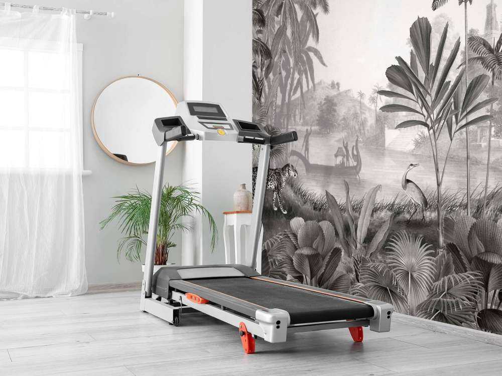 Leopard Landscape - Black and White