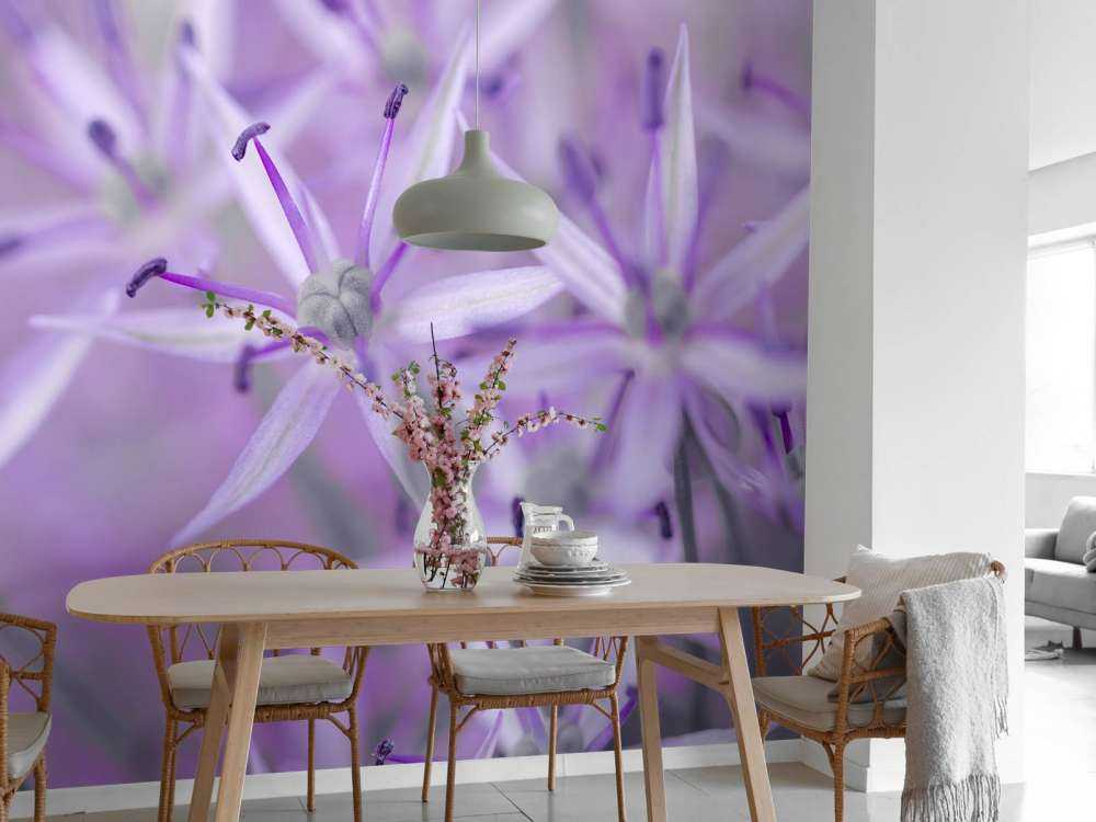 Lilla allium blomster