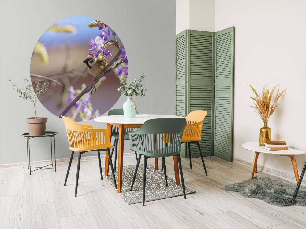 Mus og lilla blomster