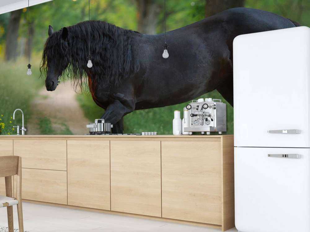 Skitserede enhjørninger