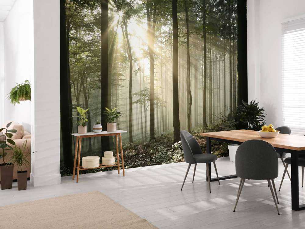 Efterårets løvskov