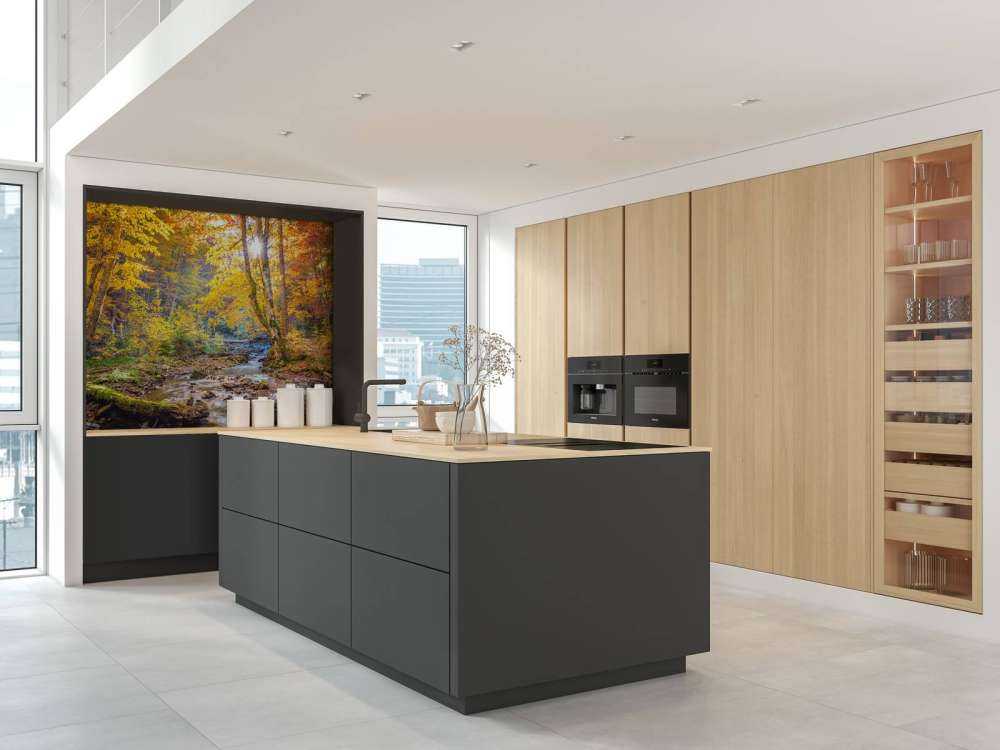 Efterår i en vild skov