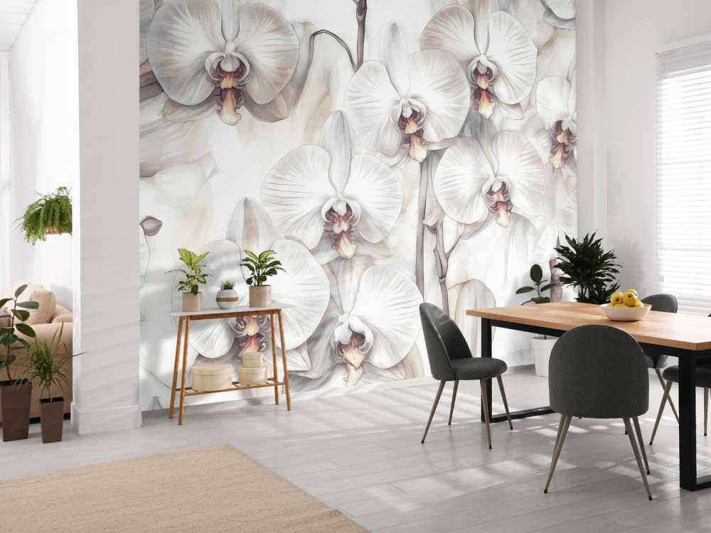 Orkideer Paradis Orange