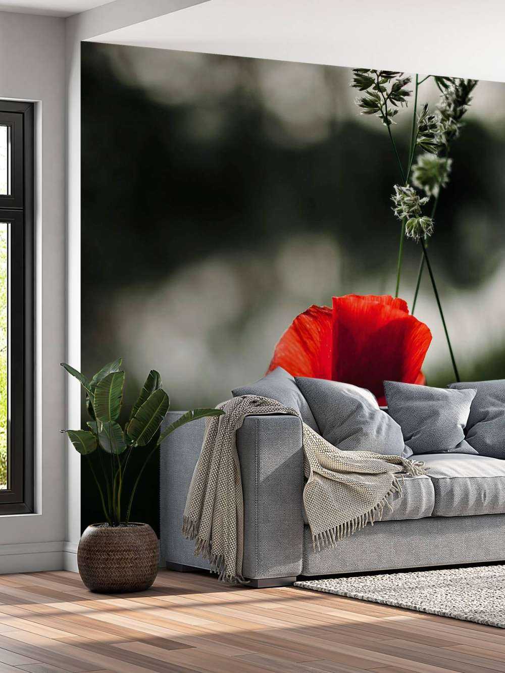 Rød valmue med græs