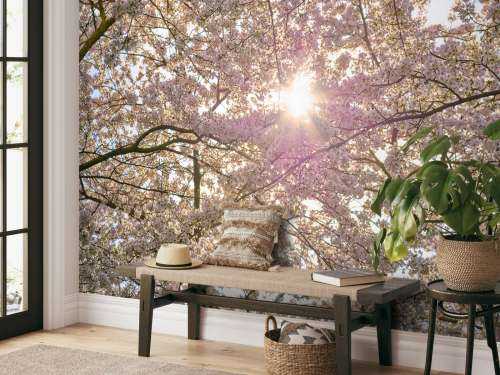 Blomstring i solen
