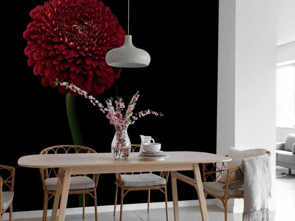 Rød blomst på stammen