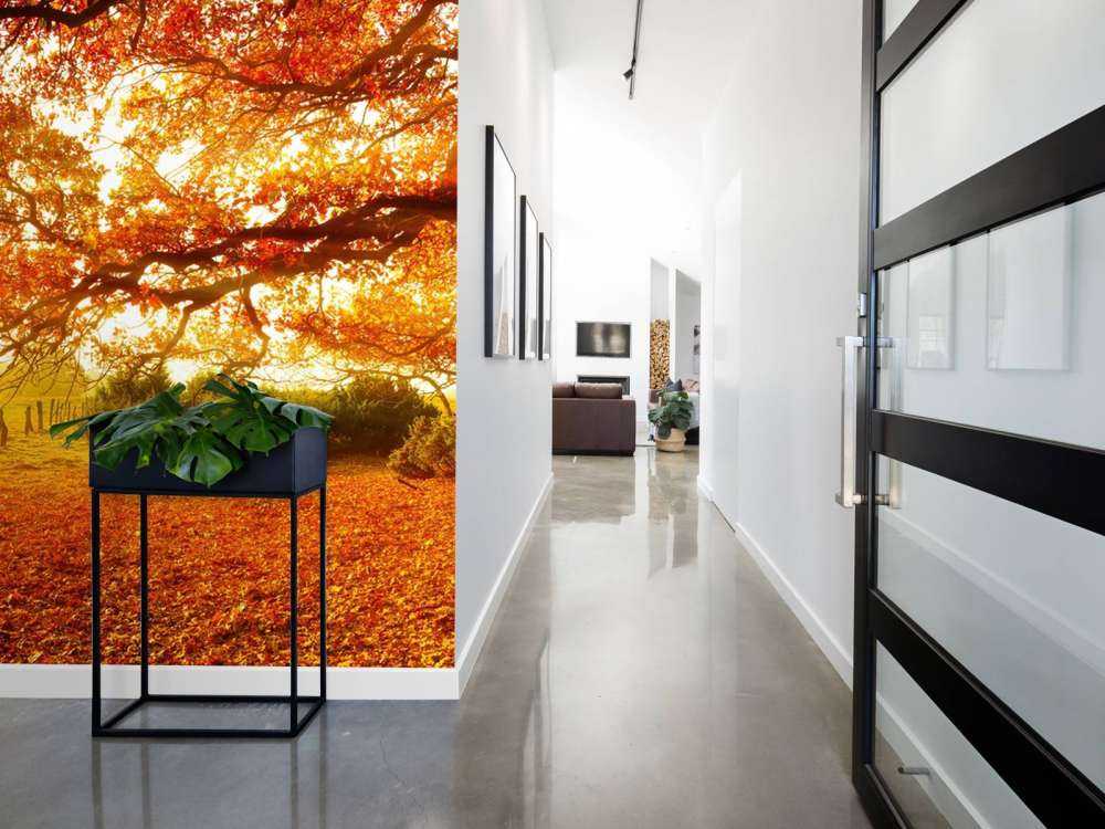 Efterår landskab med skov og eng