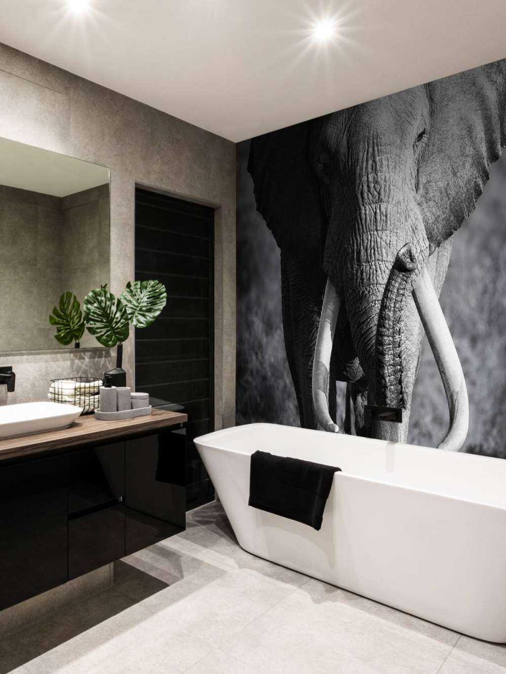 Afrikansk elefant