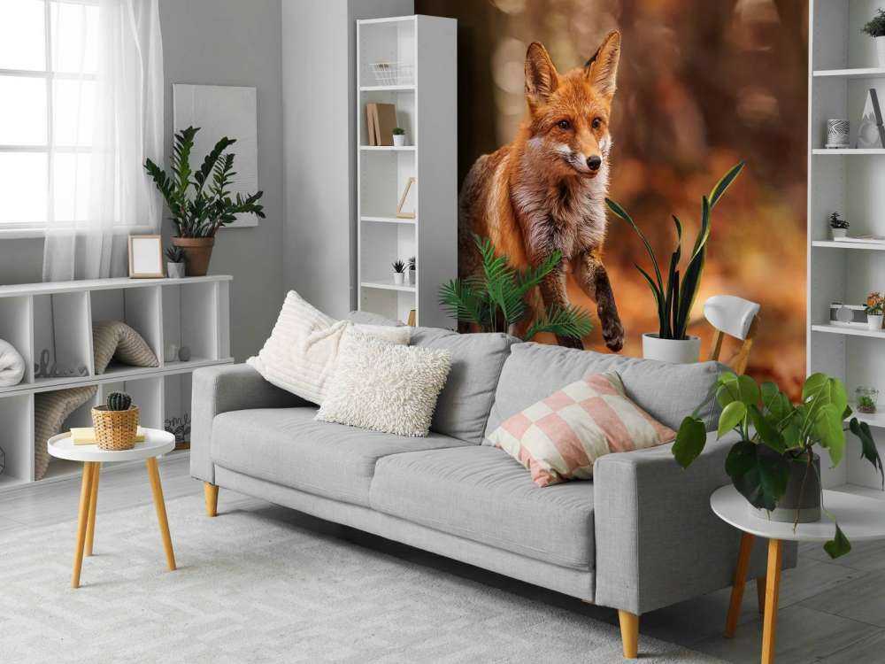 Efterårsflugt Ræveslag