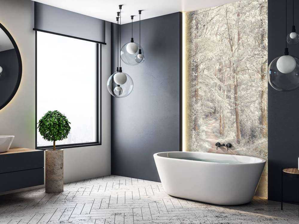 En sti gjennom en grønn skog