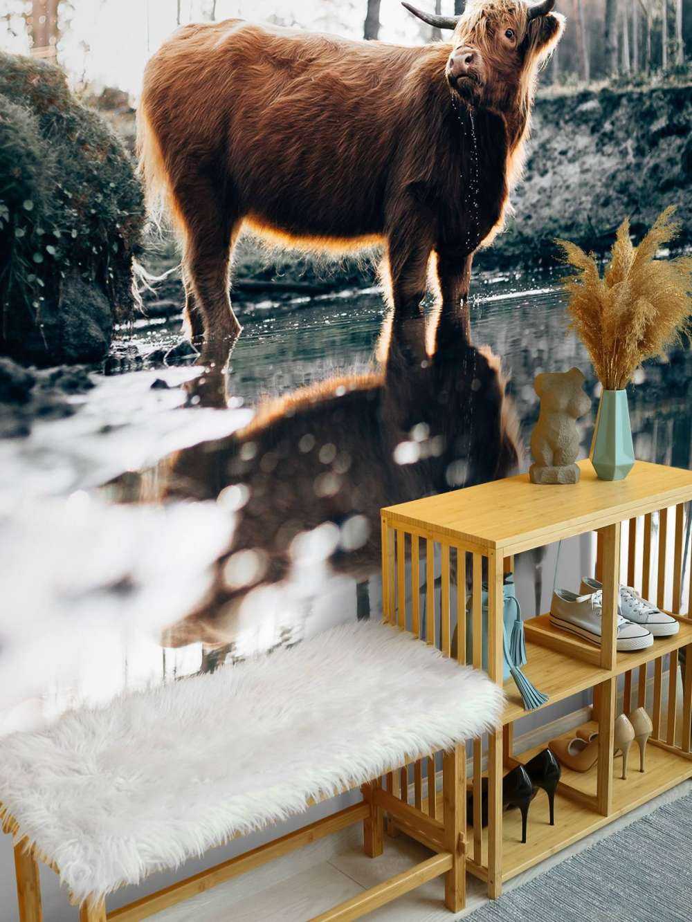 Skotsk høylander i vannet