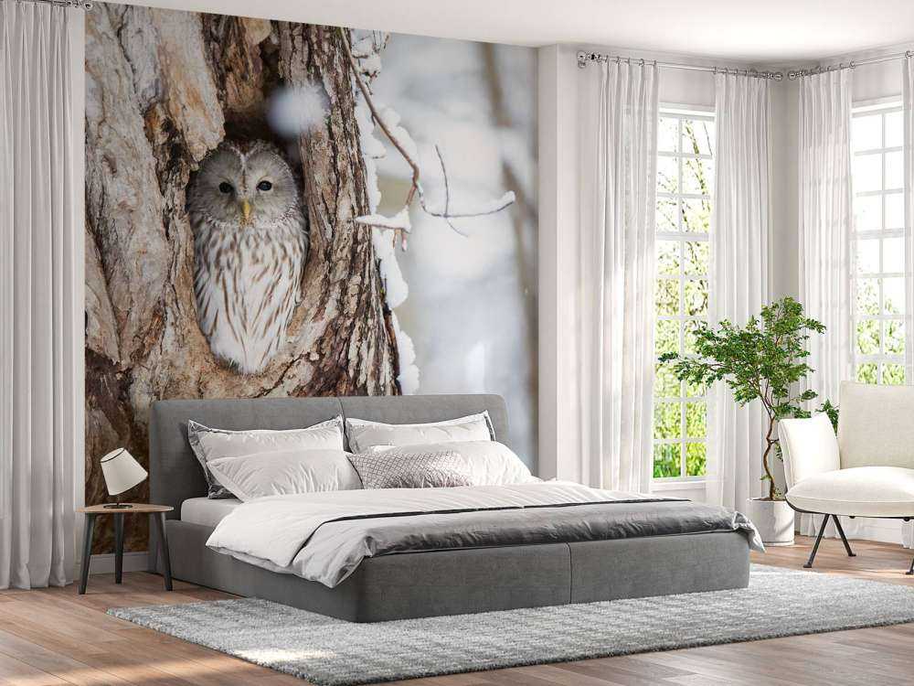 Hvit ugle i et hult tre