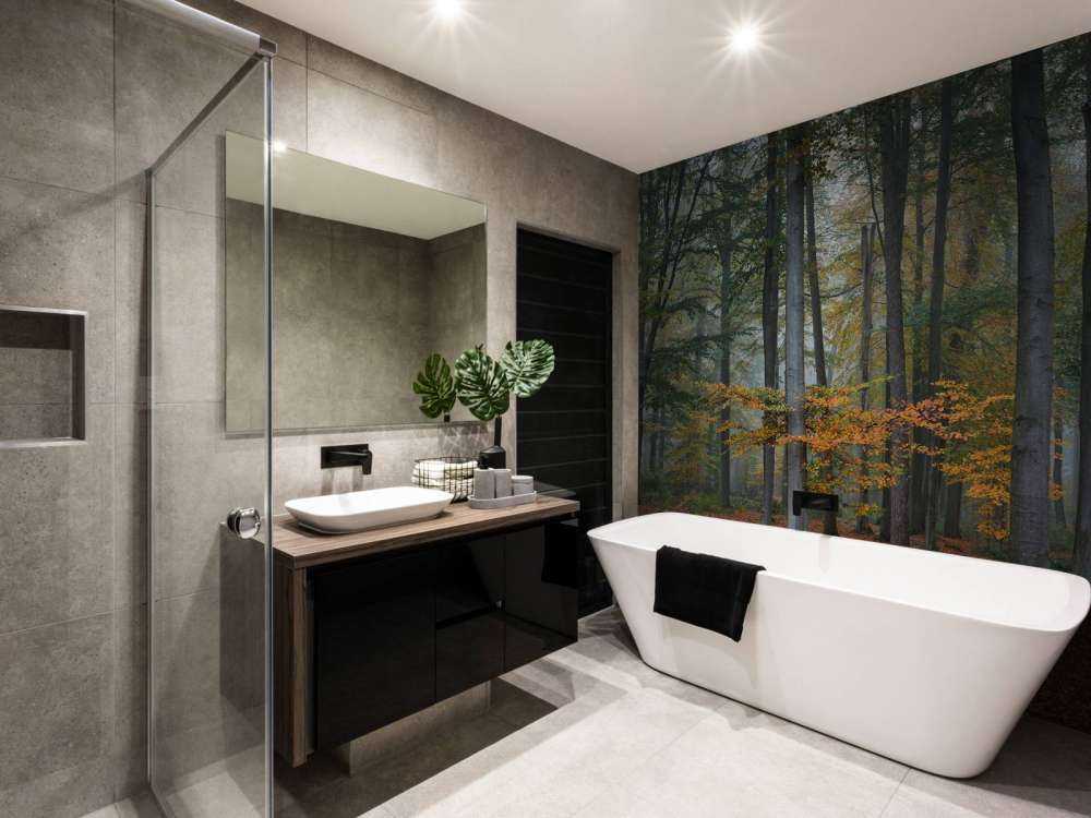 Høstfarger i tåkete skog