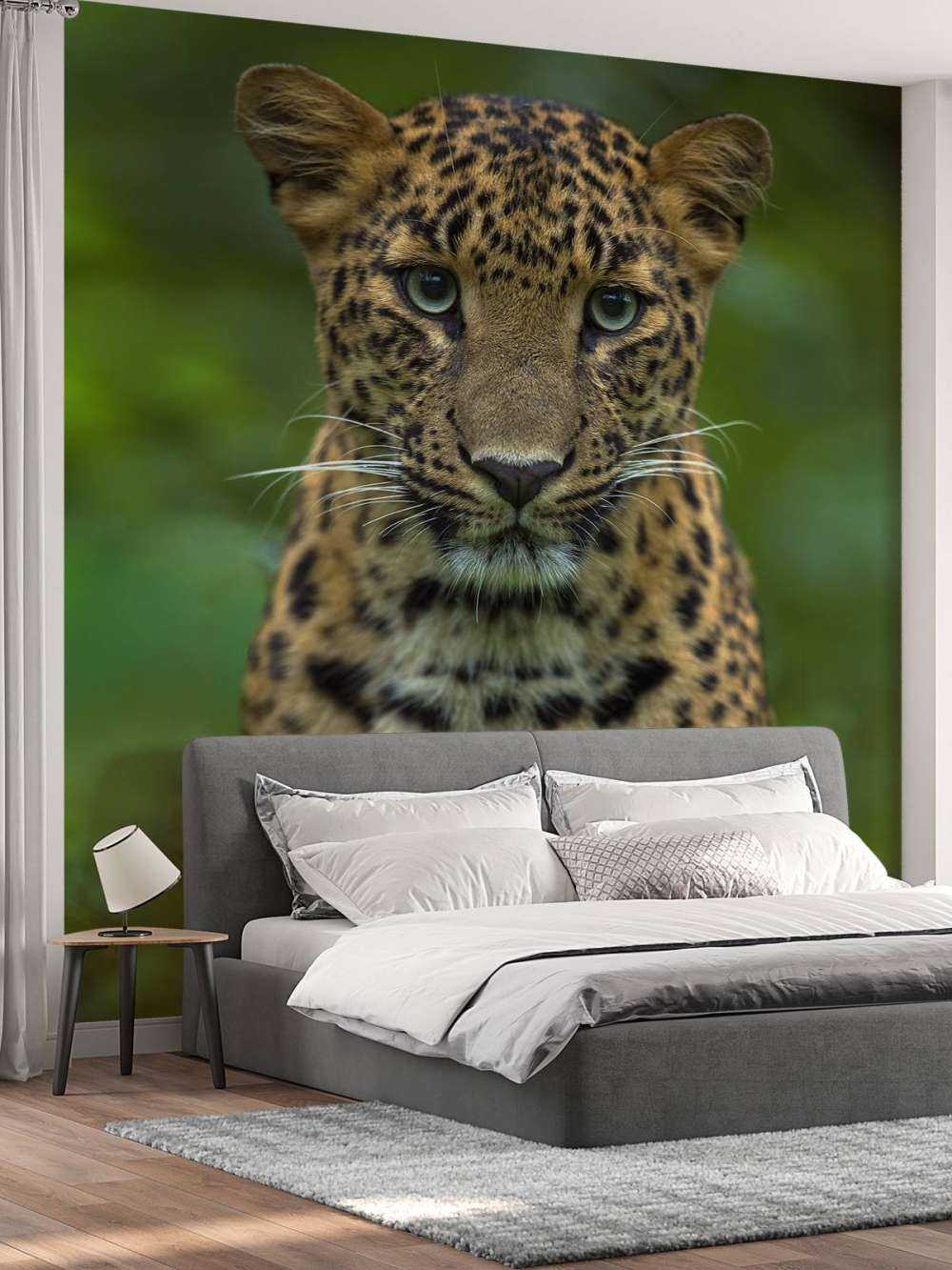 Konsentrert leopard