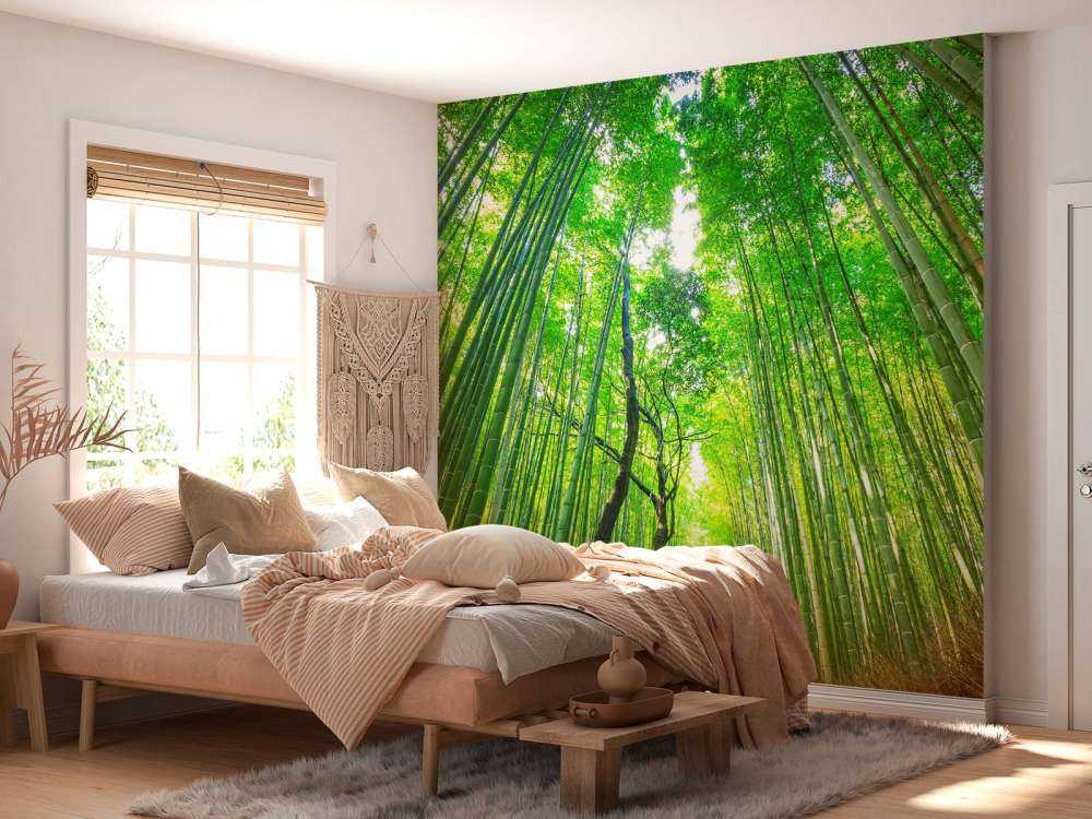 Bambusskog i Arashiyama