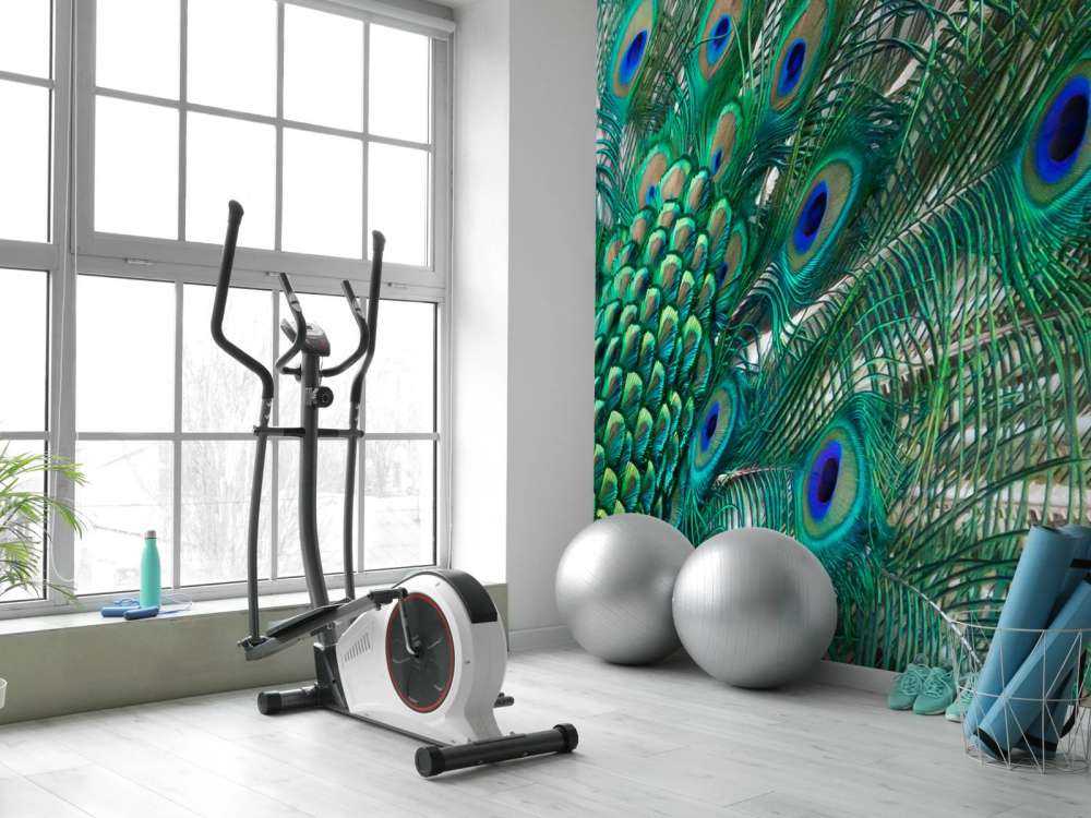 Farget fjærdrakt av en påfugl