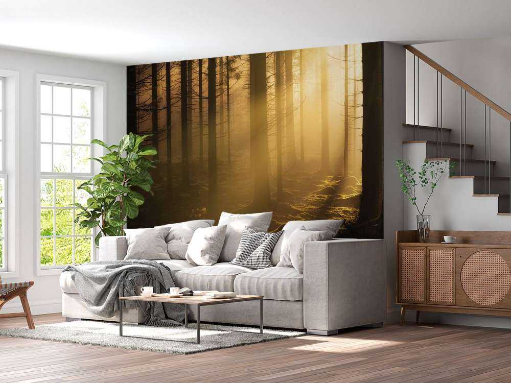 Mørk høstskog