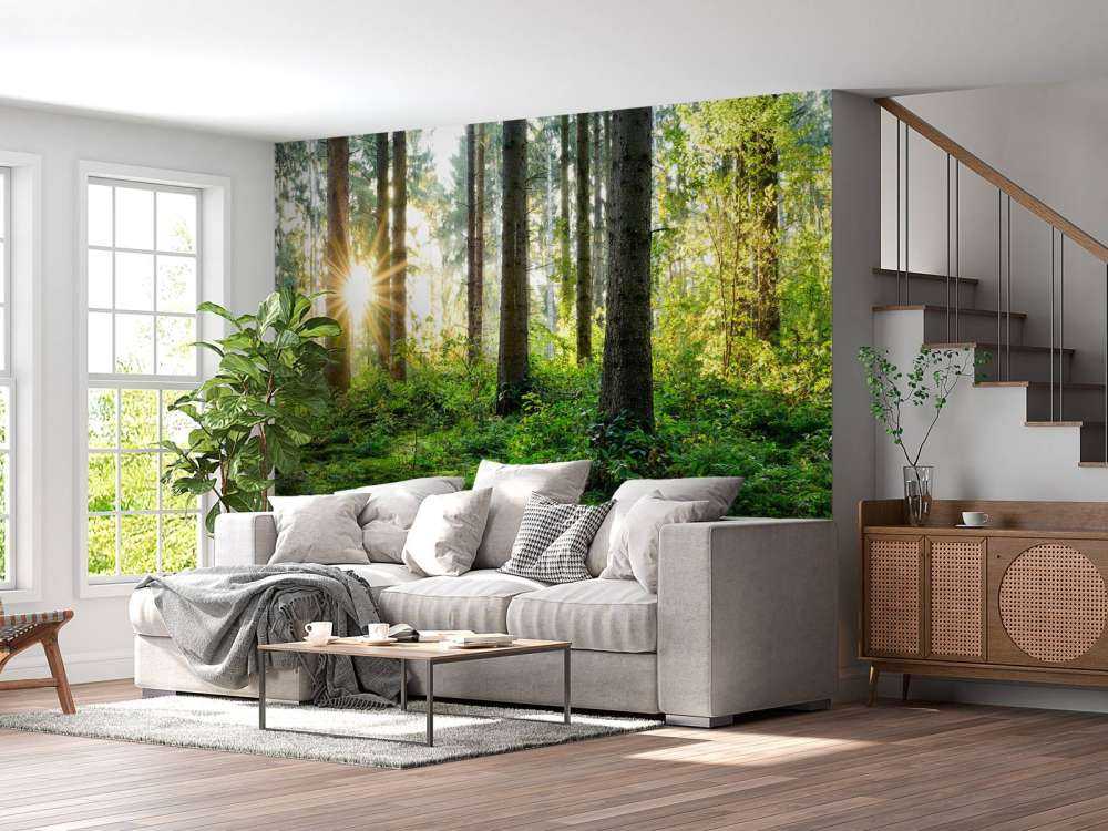 Skogpanorama om våren