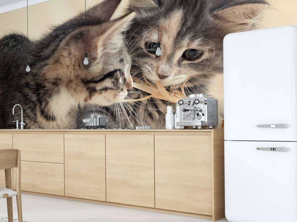 Leker kattunger