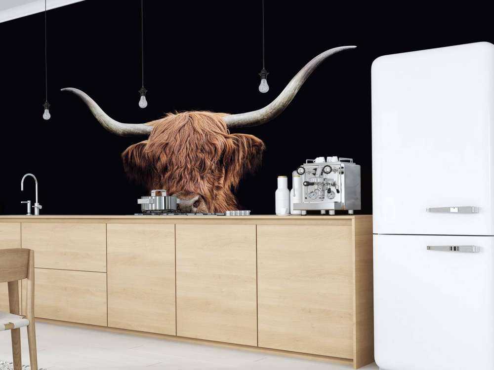 Vintage Scottish Highlands