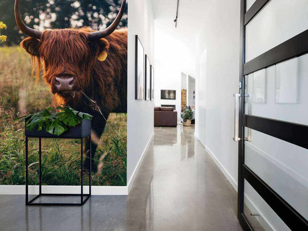 Det skotske høylandet i det høye gresset