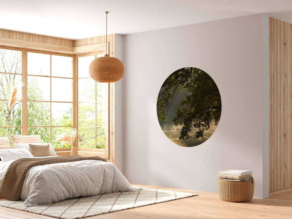 Overhengende grener over vannet