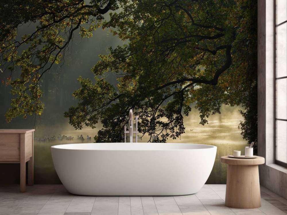 Overhengende grener over vannet