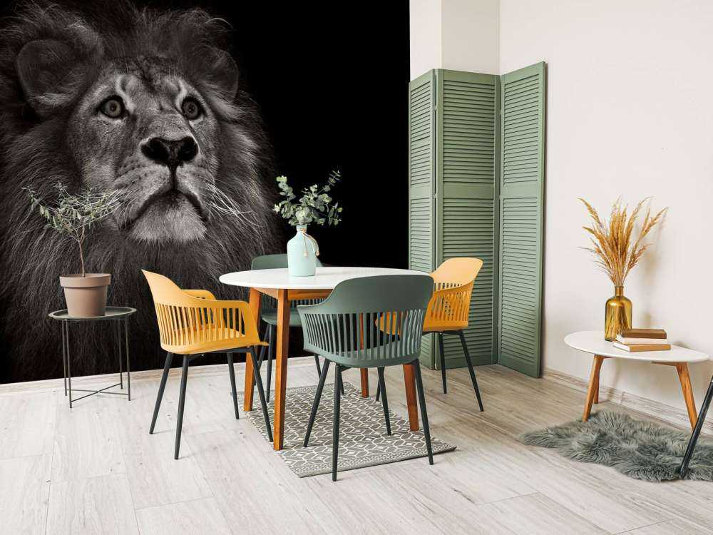 Løve på svart tapet