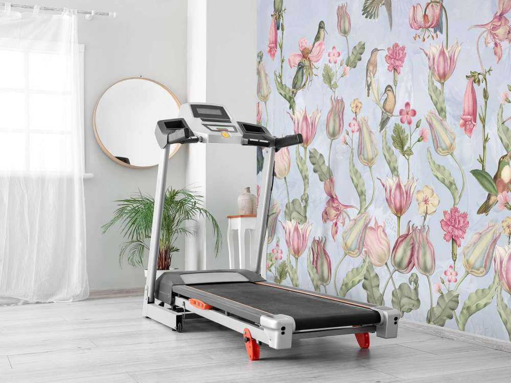 Vår Kolibri Symfoni - Pastellblå Serenade