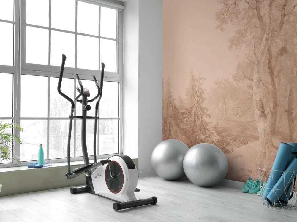 Skoglandskap Terra #1