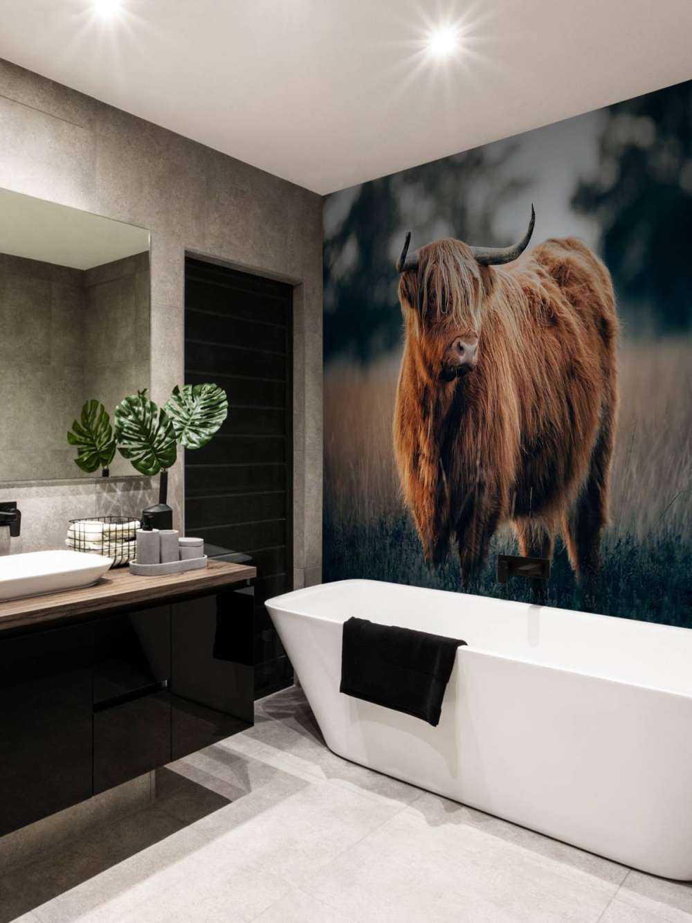 Portrett av høylandsfe