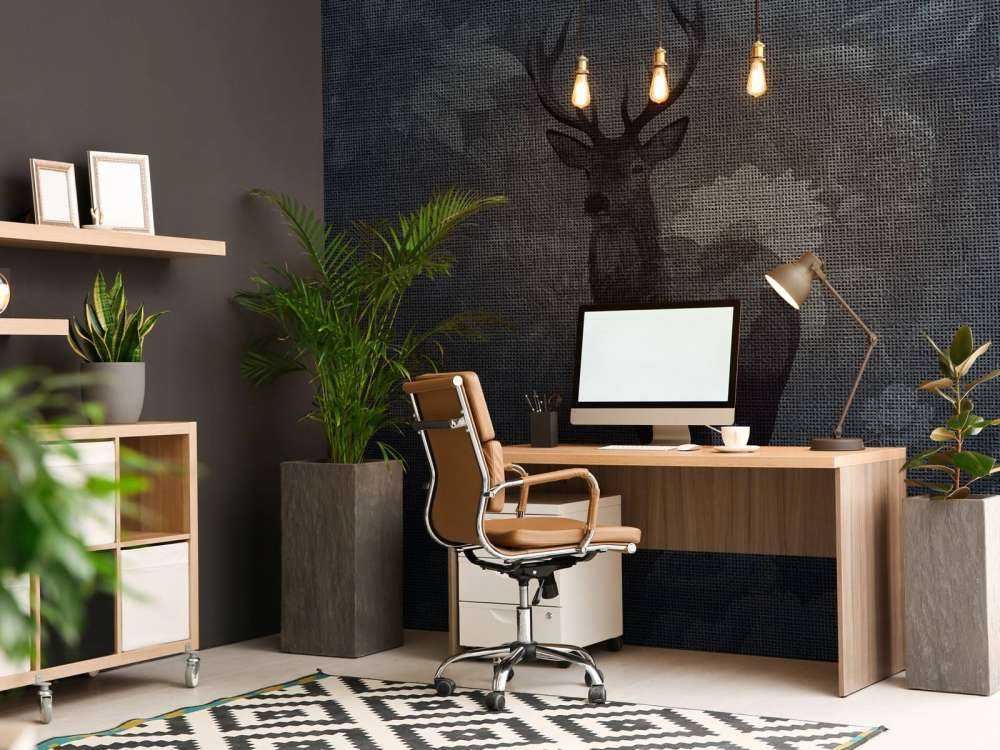 Fløyelsgevir Nattevakt