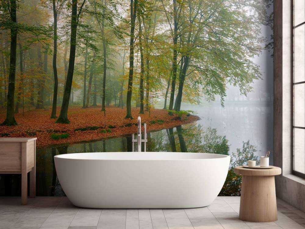 Trädens reflektion i en damm