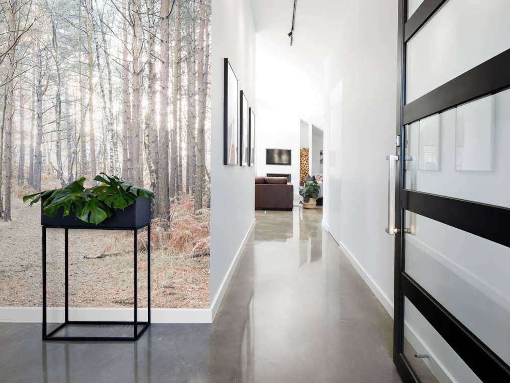 Sandväg genom skogen