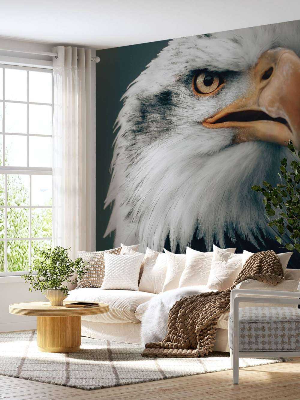 Stirrande Bald Eagle