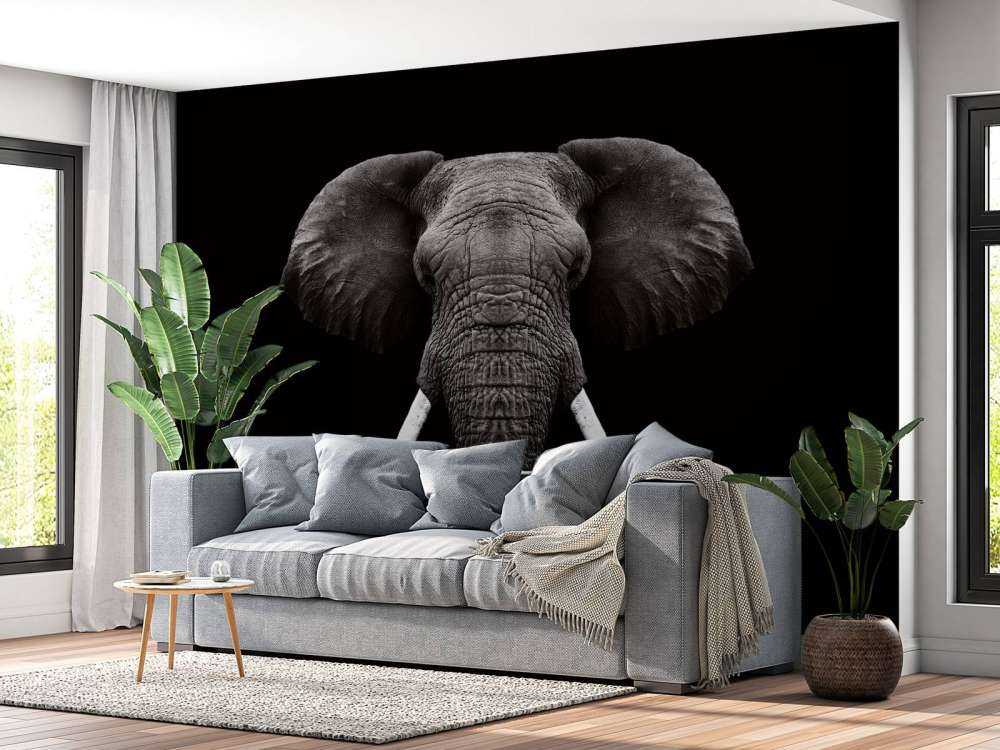 Dark Elephant