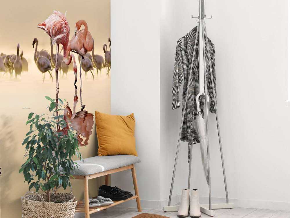 Flamingo Family