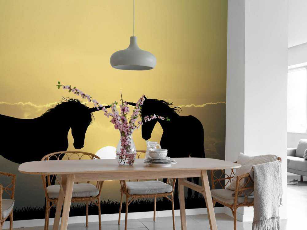 Enhörningar i solnedgången