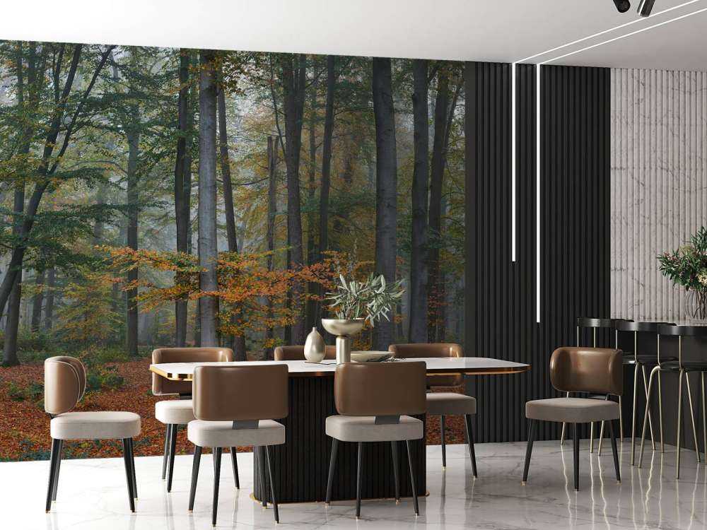 Höstfärger i dimmig skog