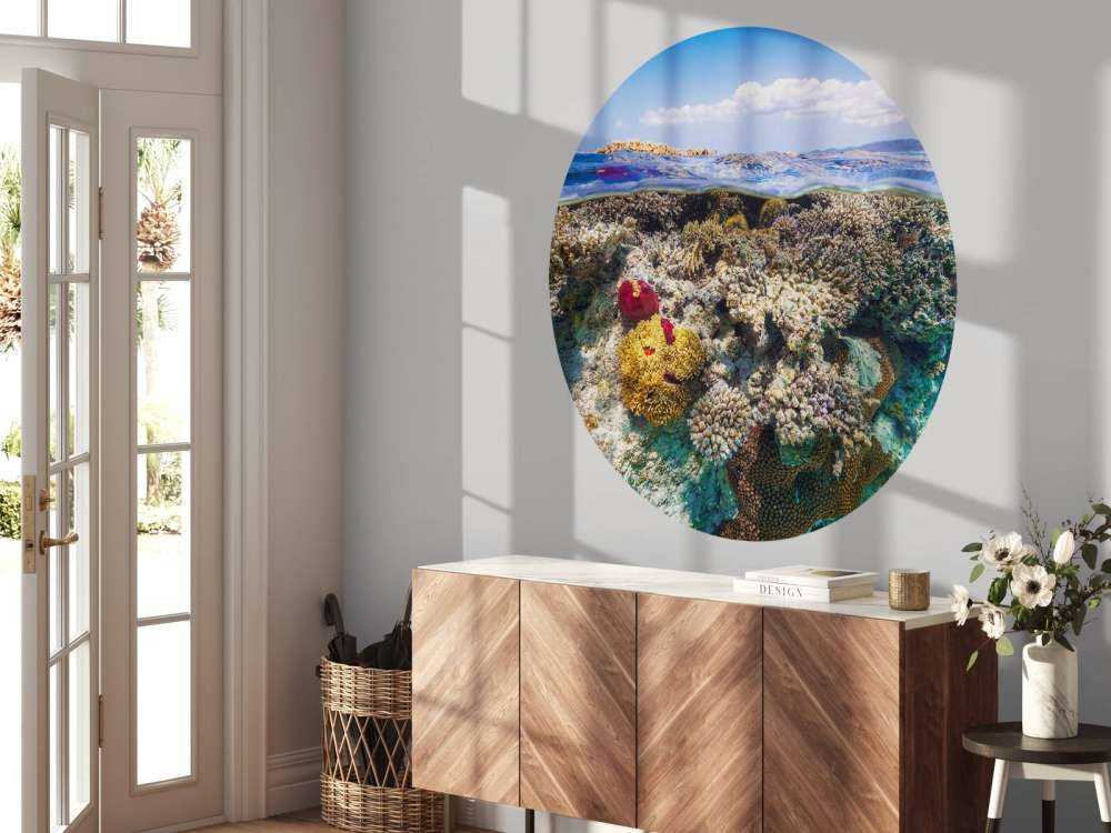 Mayotte : The Reef