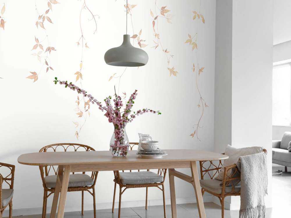 Ljus klematis vinstock