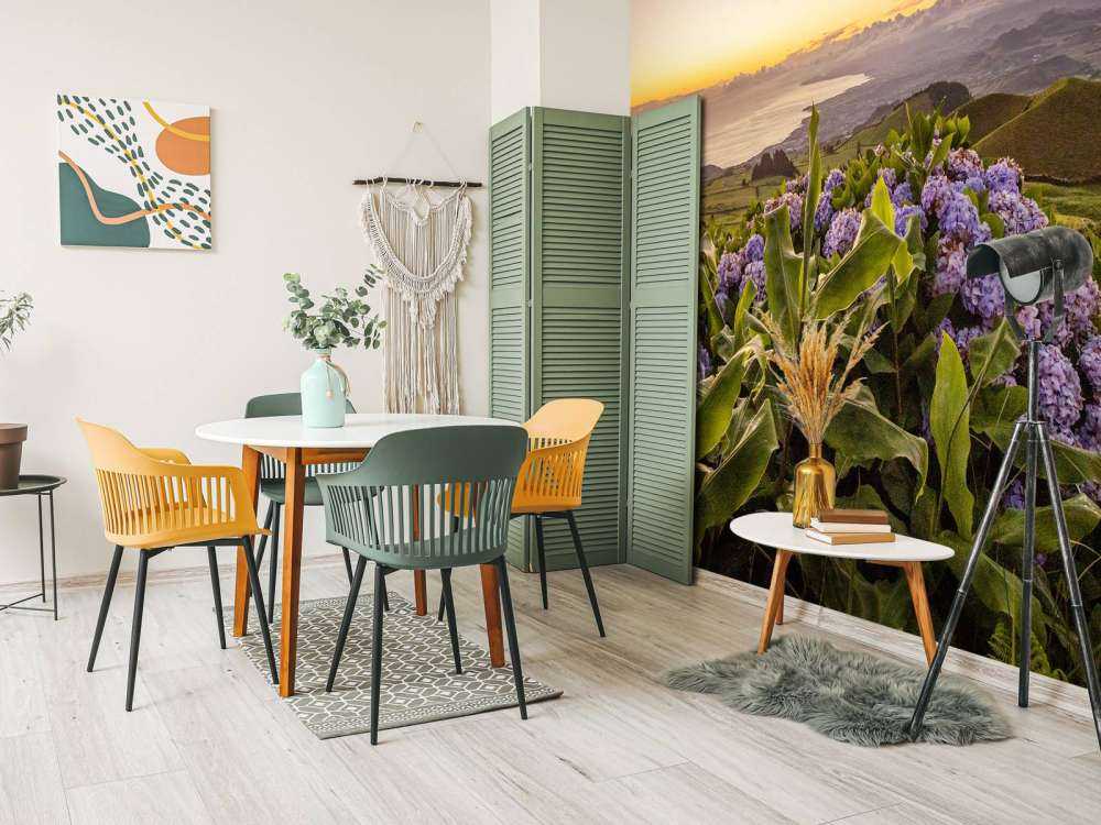 Solnedgång med hortensior