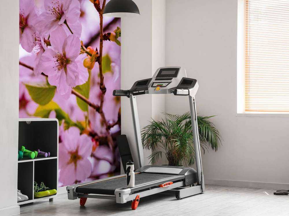 Rosa blommor med kronblad