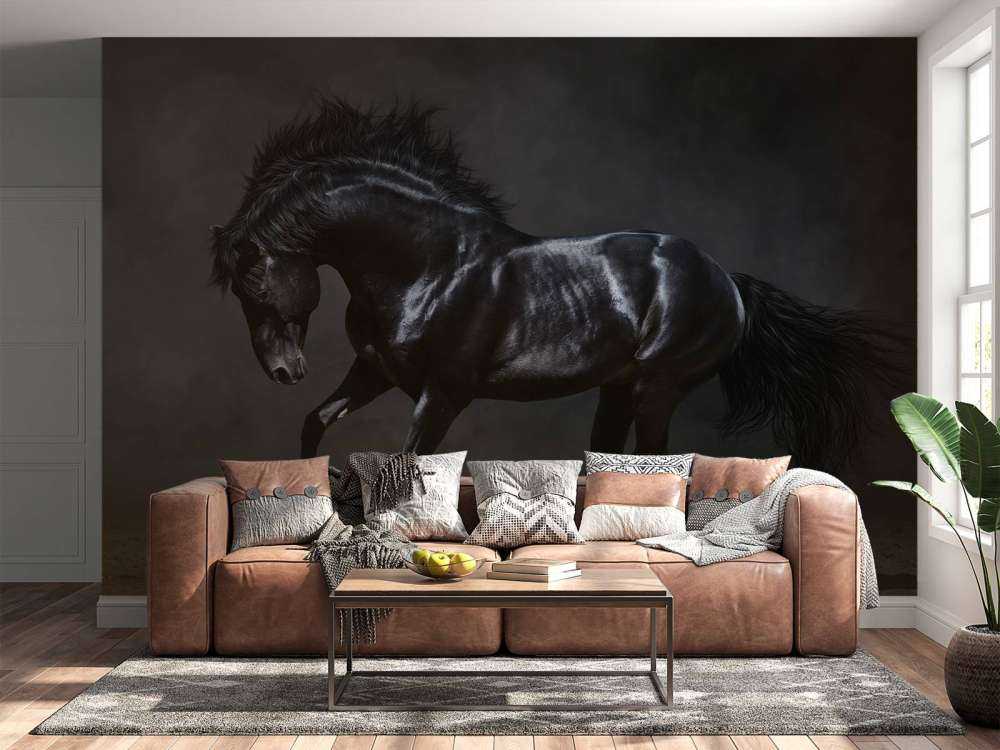 Svart hingst
