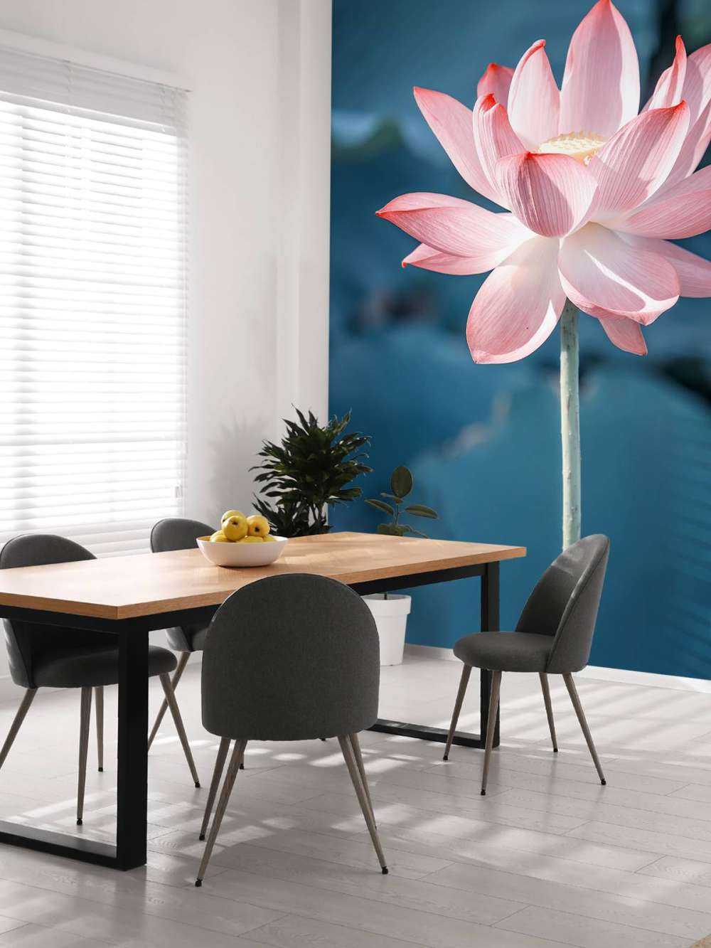 Lotusblomma ljusrosa