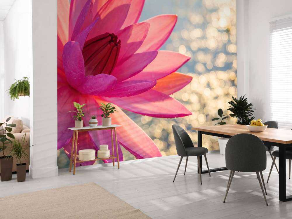 Lotus blomma på vatten